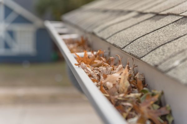 Leaf Barrier Installation in Morrisville